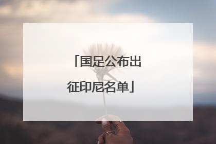 国足公布出征印尼名单