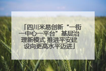 四川米易创新“一街一中心一平台”基层治理新模式 推进平安建设向更高水平迈进
