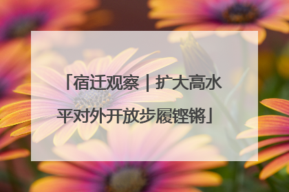 宿迁观察｜扩大高水平对外开放步履铿锵