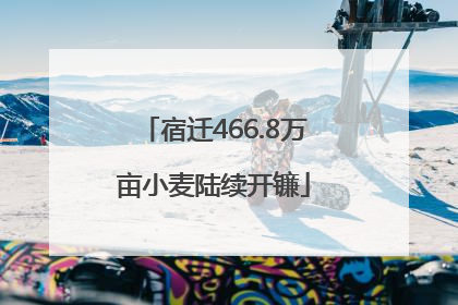 宿迁466.8万亩小麦陆续开镰