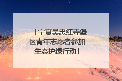宁夏吴忠红寺堡区青年志愿者参加生态护绿行动