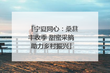 宁夏同心：桑葚丰收季 甜蜜采摘助力乡村振兴