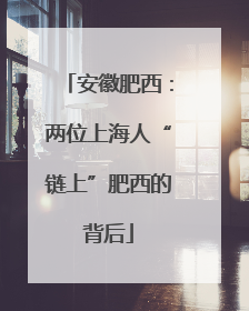 安徽肥西：两位上海人“链上”肥西的背后