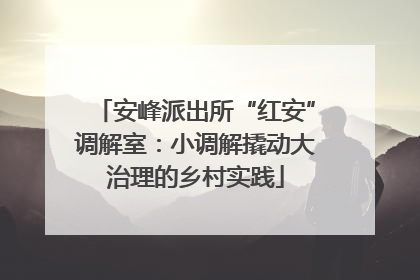 安峰派出所“红安”调解室：小调解撬动大治理的乡村实践
