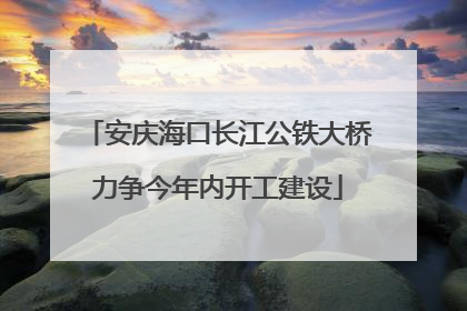 安庆海口长江公铁大桥力争今年内开工建设