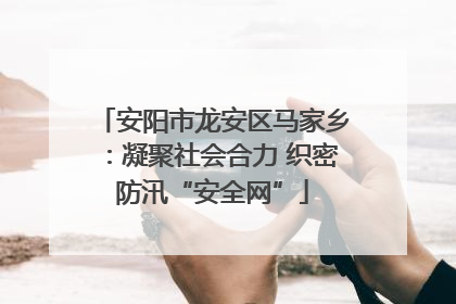安阳市龙安区马家乡：凝聚社会合力 织密防汛“安全网”