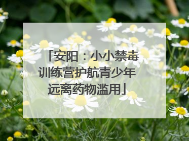 安阳：小小禁毒训练营护航青少年远离药物滥用