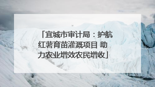 宜城市审计局：护航红薯育苗灌溉项目 助力农业增效农民增收