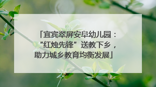 宜宾翠屏安阜幼儿园：“红烛先锋”送教下乡，助力城乡教育均衡发展