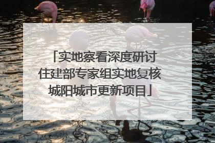 实地察看深度研讨 住建部专家组实地复核城阳城市更新项目