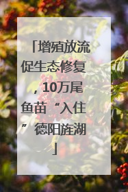 增殖放流促生态修复，10万尾鱼苗“入住”德阳旌湖