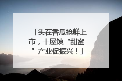 头茬香瓜抢鲜上市，十屋镇“甜蜜”产业促振兴！