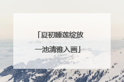 夏初睡莲绽放 一池清雅入画