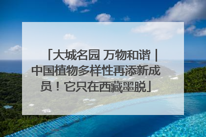 大城名园 万物和谐｜中国植物多样性再添新成员！它只在西藏墨脱