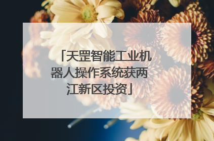 天罡智能工业机器人操作系统获两江新区投资