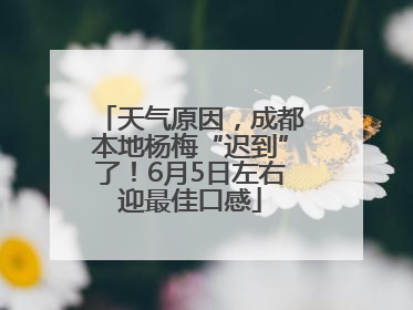 天气原因，成都本地杨梅“迟到”了！6月5日左右迎最佳口感