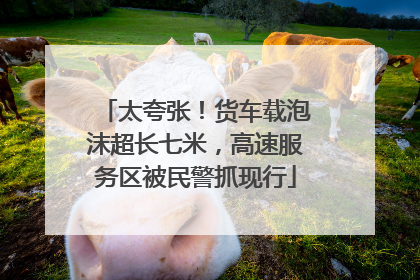 太夸张！货车载泡沫超长七米，高速服务区被民警抓现行