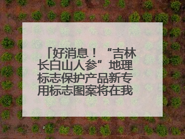 好消息！“吉林长白山人参”地理标志保护产品新专用标志图案将在我省推广使用