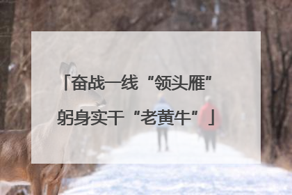 奋战一线“领头雁” 躬身实干“老黄牛”