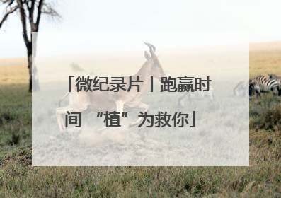 微纪录片丨跑赢时间 “植”为救你