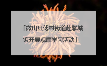 微山县傅村街道赴驩城镇开展观摩学习活动