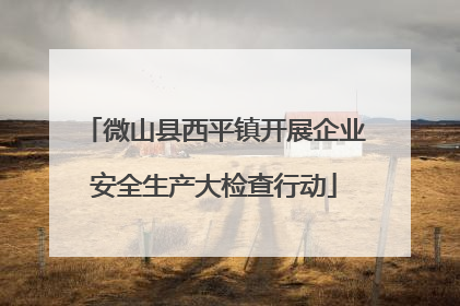 微山县西平镇开展企业安全生产大检查行动