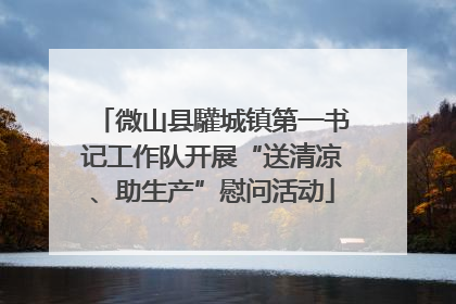 微山县驩城镇第一书记工作队开展“送清凉、助生产”慰问活动