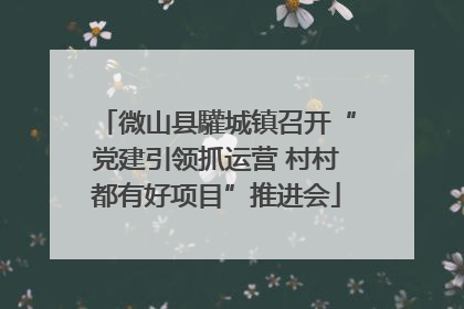 微山县驩城镇召开“党建引领抓运营 村村都有好项目”推进会