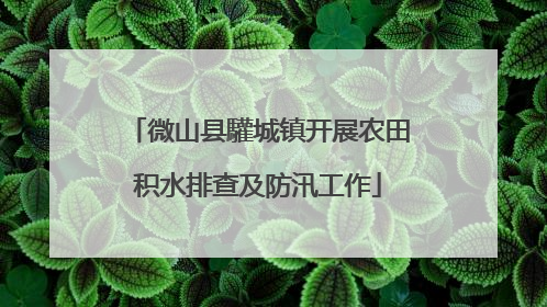 微山县驩城镇开展农田积水排查及防汛工作