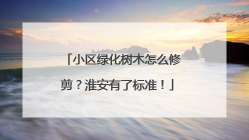 小区绿化树木怎么修剪？淮安有了标准！