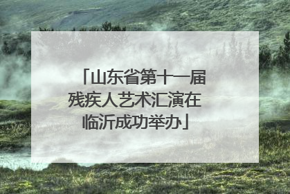 山东省第十一届残疾人艺术汇演在临沂成功举办