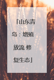 山东青岛：增殖放流 修复生态