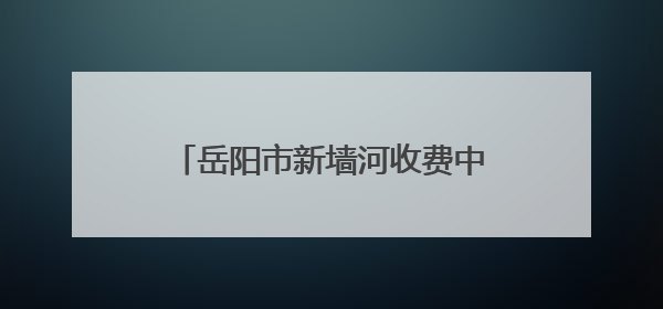 岳阳市新墙河收费中心为民服务暖人心