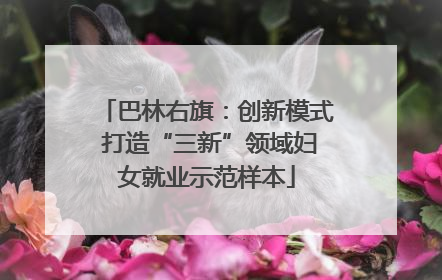 巴林右旗：创新模式 打造“三新”领域妇女就业示范样本