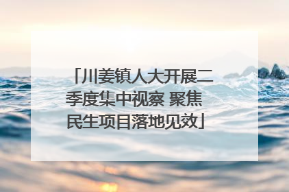 川姜镇人大开展二季度集中视察 聚焦民生项目落地见效