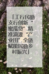 工行民勤支行创新“蜜瓜贷”精准滴灌“产业田”全链赋能民勤乡村振兴