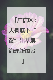 广信区：大树底下“议”出基层治理新图景