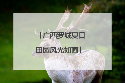 广西罗城夏日田园风光如画