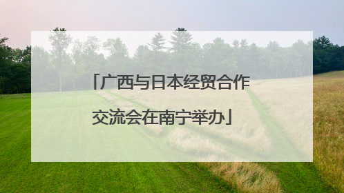 广西与日本经贸合作交流会在南宁举办