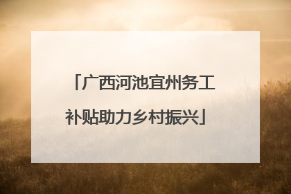 广西河池宜州务工补贴助力乡村振兴