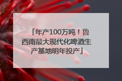 年产100万吨！鲁西南最大现代化啤酒生产基地明年投产