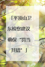 平顶山卫东检察建议确保“罚当其错”