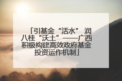 引基金“活水” 润八桂“沃土”——广西积极构建高效政府基金投资运作机制