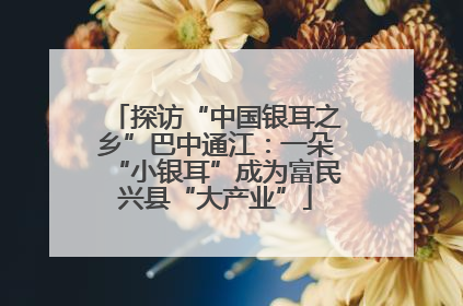 探访“中国银耳之乡”巴中通江：一朵“小银耳”成为富民兴县“大产业”