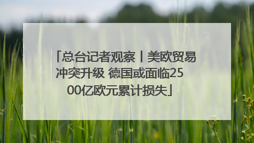 总台记者观察丨美欧贸易冲突升级 德国或面临2500亿欧元累计损失