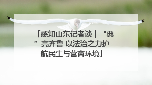 感知山东记者谈｜“典”亮齐鲁 以法治之力护航民生与营商环境
