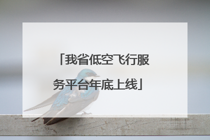 我省低空飞行服务平台年底上线