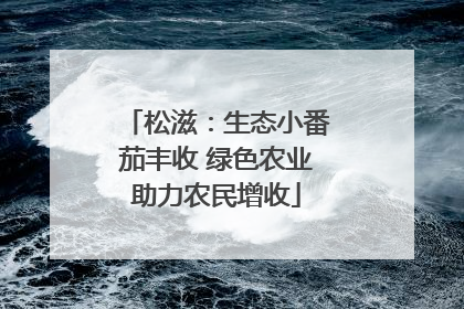 松滋：生态小番茄丰收 绿色农业助力农民增收