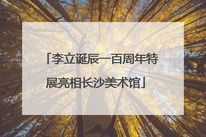 李立诞辰一百周年特展亮相长沙美术馆