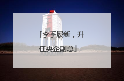 李季履新，升任央企副总